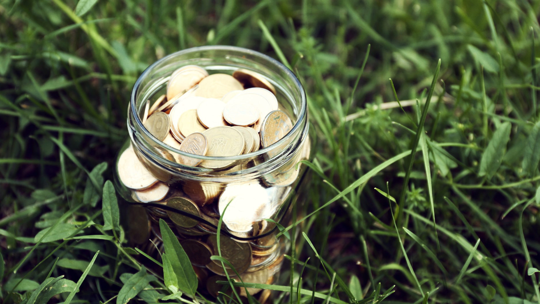 Savings Account